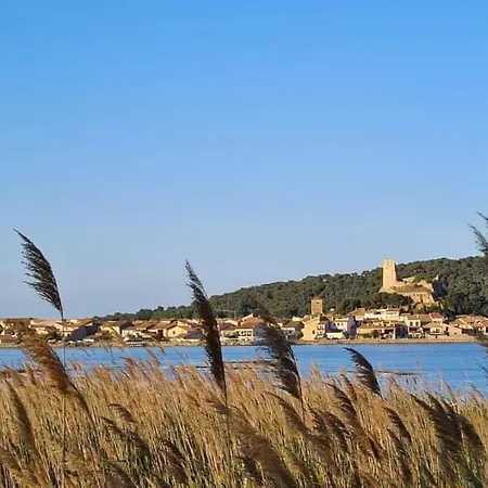 Zen Gruissan