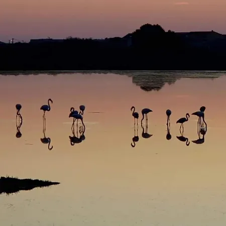 Apartment Zen Gruissan