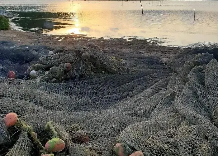 Zen * Gruissan